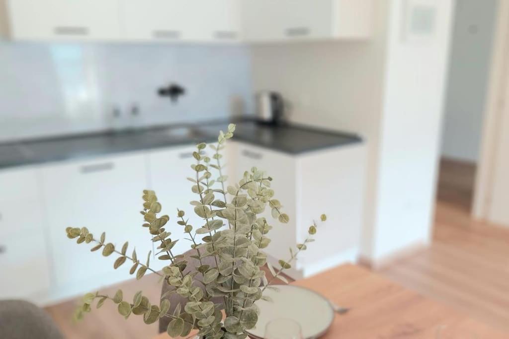 Renovated Flat Close To The Centre Merano Exterior photo